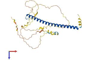 AlphaFold protein structure predicition of Human Recombinant CEBPE Protein, UniprotID Q15744