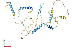 AlphaFold protein structure predicition of Human Recombinant HYLS1 Protein, UniprotID Q96M11