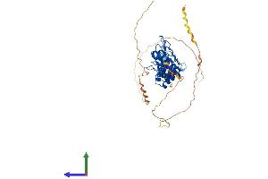 AlphaFold protein structure predicition of Mouse Recombinant Bcl3 Protein, UniprotID Q9Z2F6
