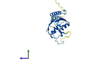 AlphaFold protein structure predicition of Mouse Recombinant Pld6 Protein, UniprotID Q5SWZ9