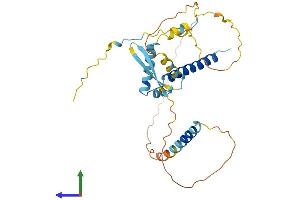 AlphaFold protein structure predicition of Human Recombinant CFDP1 Protein, UniprotID Q9UEE9