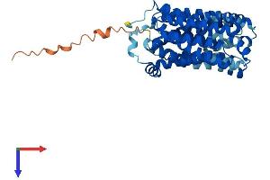 AlphaFold protein structure predicition of Mouse Recombinant Slc16a13 Protein, UniprotID Q8CE94