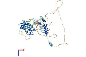 AlphaFold protein structure predicition of Human Recombinant UBOX5 Protein, UniprotID O94941