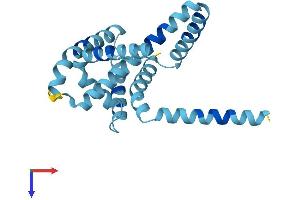 AlphaFold protein structure predicition of Human Recombinant ARL6IP1 Protein, UniprotID Q15041