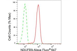 Flow cytometric analysis of NDUFB9 expression in C2C12 cells using NDUFB9 antibody (ABIN7799553), 1:2,000).
