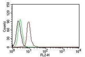 Flow Cytometric analysis of human Cyclin D1 on Jurkat cells. (Cyclin D1 anticorps  (PE))