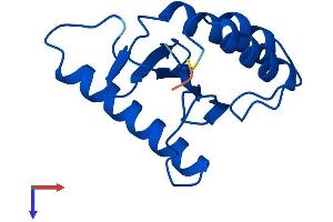 AlphaFold protein structure predicition of Human Recombinant TRAPPC1 Protein, UniprotID Q9Y5R8