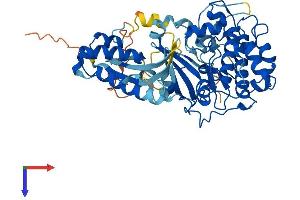 AlphaFold protein structure predicition of Human Recombinant SGK3 Protein, UniprotID Q96BR1