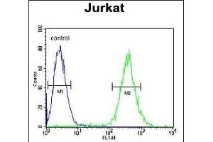 GLRX5 Antibody (C-term) (ABIN651225 and ABIN2840140) flow cytometric analysis of Jurkat cells (right histogram) compared to a negative control cell (left histogram). (GLRX5 anticorps  (C-Term))
