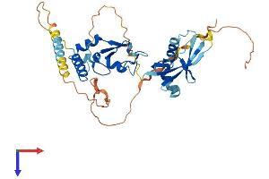 AlphaFold protein structure predicition of Human Recombinant PCGF6 Protein, UniprotID Q9BYE7