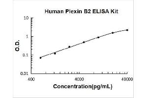 Plexin B2 (PLXNB2) ELISA Kit