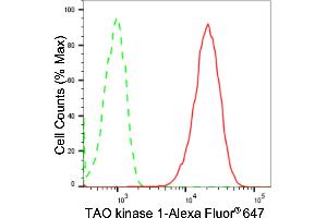 Flow cytometric analysis of TAO kinase 1 expression in HepG2 cells using TAO kinase 1 antibody (ABIN7800509), 1:2,000). (Recombinant TAO Kinase 1 (TAOK1) anticorps)