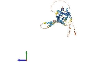 AlphaFold protein structure predicition of Human Recombinant GPR176 Protein, UniprotID Q14439