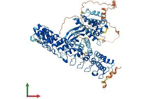 AlphaFold protein structure predicition of Mouse Recombinant Ripk4 Protein, UniprotID Q9ERK0
