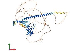 AlphaFold protein structure predicition of Mouse Recombinant Gmeb2 Protein, UniprotID P58929