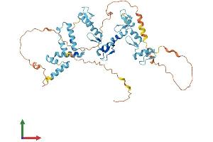 AlphaFold protein structure predicition of Human Recombinant ZSCAN21 Protein, UniprotID Q9Y5A6