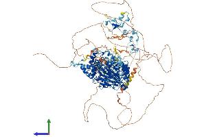 AlphaFold protein structure predicition of Human Recombinant KDM2B Protein, UniprotID Q8NHM5