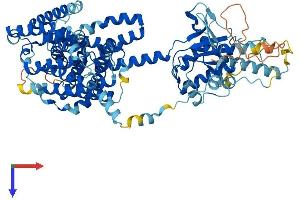 AlphaFold protein structure predicition of Mouse Recombinant Slc26a3 Protein, UniprotID Q9WVC8