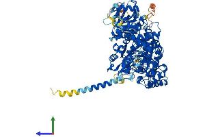 AlphaFold protein structure predicition of Mouse Recombinant Ndst2 Protein, UniprotID P52850