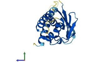 AlphaFold protein structure predicition of Mouse Recombinant Trappc6a Protein, UniprotID Q78XR0