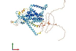AlphaFold protein structure predicition of Mouse Recombinant Slc34a1 Protein, UniprotID Q60825