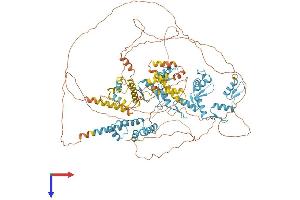 AlphaFold protein structure predicition of Human Recombinant ZSCAN20 Protein, UniprotID P17040