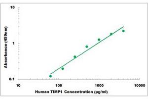 Representative Standard Curve (TIMP1 Kit ELISA)