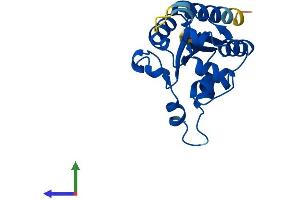 AlphaFold protein structure predicition of Mouse Recombinant Ppcdc Protein, UniprotID Q8BZB2