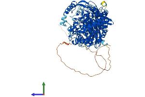 AlphaFold protein structure predicition of Mouse Recombinant Gba2 Protein, UniprotID Q69ZF3