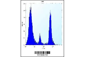 Flow cytometric analysis of U251 cells (right histogram) compared to a negative control cell (left histogram).