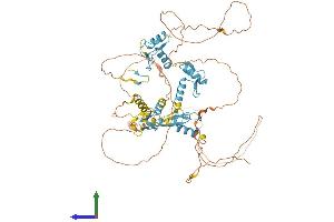 AlphaFold protein structure predicition of Human Recombinant ZNF276 Protein, UniprotID Q8N554