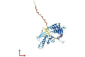 AlphaFold protein structure predicition of Human Recombinant ZPR1 Protein, UniprotID O75312