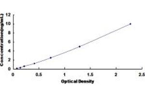 Typical standard curve (IL12RB1 Kit ELISA)