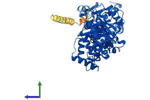 AlphaFold protein structure predicition of Human Recombinant RHOT1 Protein, UniprotID Q8IXI2