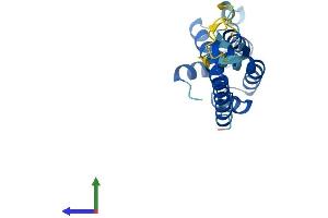 AlphaFold protein structure predicition of Human Recombinant COMMD3 Protein, UniprotID Q9UBI1
