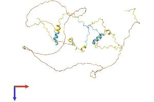 AlphaFold protein structure predicition of Human Recombinant RCSD1 Protein, UniprotID Q6JBY9