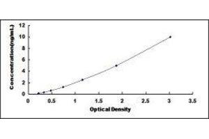 TERF1 Interacting Nuclear Factor 2 (TIN2) ELISA Kit