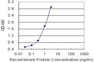 Sandwich ELISA detection sensitivity ranging from 1 ng/mL to 100 ng/mL. (ACTN4 (Humain) Matched Antibody Pair)