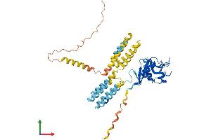 AlphaFold protein structure predicition of Human Recombinant CD209 Protein, UniprotID Q9NNX6