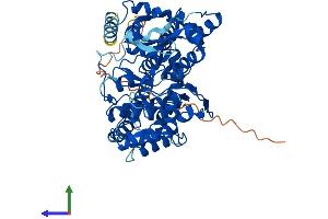 AlphaFold protein structure predicition of Mouse Recombinant Grk4 Protein, UniprotID O70291
