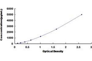 Typical standard curve (Adenosine A2b Receptor Kit ELISA)