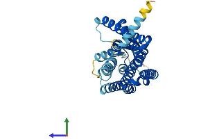 AlphaFold protein structure predicition of Human Recombinant OR1E1 Protein, UniprotID P30953
