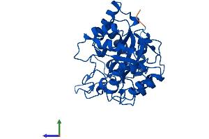 AlphaFold protein structure predicition of Human Recombinant AKR1C1 Protein, UniprotID Q04828