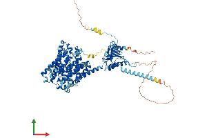 AlphaFold protein structure predicition of Mouse Recombinant Slc26a6 Protein, UniprotID Q8CIW6