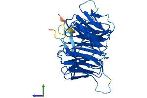AlphaFold protein structure predicition of Mouse Recombinant Mlst8 Protein, UniprotID Q9DCJ1