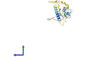 AlphaFold protein structure predicition of Mouse Recombinant Rnf185 Protein, UniprotID Q91YT2