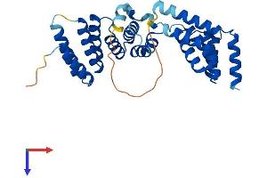 AlphaFold protein structure predicition of Mouse Recombinant Tomm34 Protein, UniprotID Q9CYG7