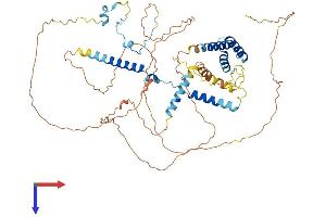 AlphaFold protein structure predicition of Mouse Recombinant Spata7 Protein, UniprotID Q80VP2