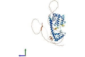 AlphaFold protein structure predicition of Mouse Recombinant Fam98a Protein, UniprotID Q3TJZ6