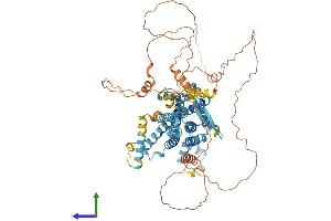 AlphaFold protein structure predicition of Human Recombinant PHTF1 Protein, UniprotID Q9UMS5